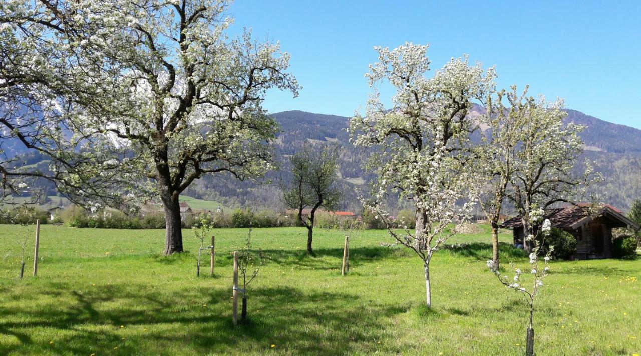 Ferienwohnung Alpenblick Kuchl Eksteriør bilde